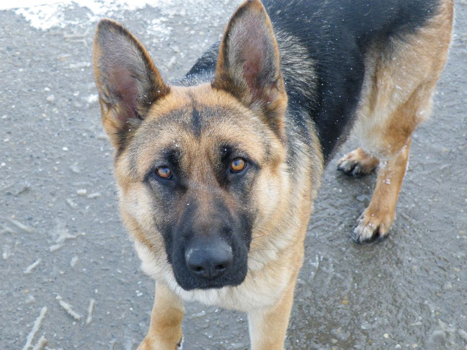 Hill Farbenspiel Lena